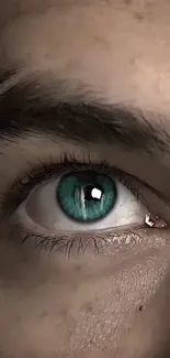 Close-up of a captivating turquoise eye with detailed iris and sharp focus.