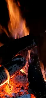 Vibrant fire flames on burning logs wallpaper.