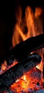 Vibrant firewood flames creating a warm, glowing ambiance on a dark background.