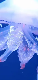 Neon glowing jellyfish against deep blue ocean background.