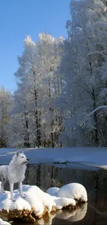 Serene winter forest with snowy river and trees under a clear blue sky.