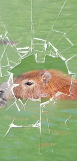 Capybara swimming with cracked glass effect on green water.