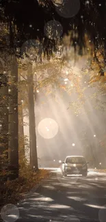 Car driving through a sunlit autumn forest with golden leaves.