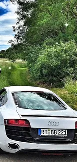 Sports car driving on a scenic countryside road with lush greenery.