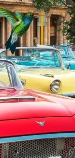 Colorful vintage cars with a flying hummingbird.