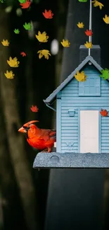 Red cardinal perched on a blue birdhouse with a natural background.