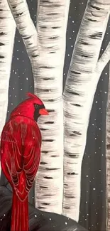 Red cardinal on birch trees in a snowy winter forest.