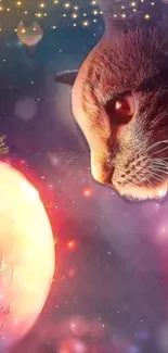 Carnivore Cat Felidae Live Wallpaper