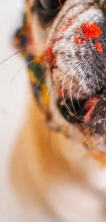 Carnivore Dog Whiskers Live Wallpaper