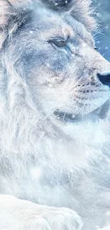 Carnivore Felidae Whiskers Live Wallpaper