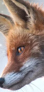 Carnivore Whiskers Fox Live Wallpaper