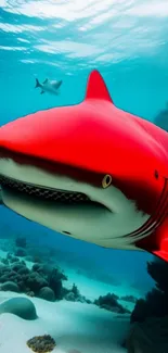 A cartoon shark swims in vibrant ocean colors among corals.