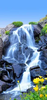 waterfall with rocks and flowers in nature