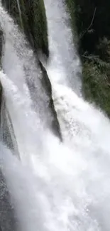 Cascading waterfall amidst lush greenery.