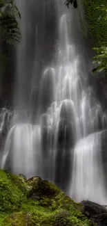 Cascading waterfall in lush green forest setting.