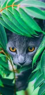 Gray cat peeking through vibrant green leaves, perfect for mobile wallpaper.