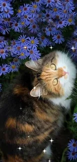 Cat surrounded by vibrant purple flowers, gazing upwards.