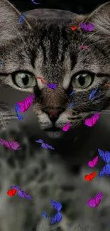 Cat surrounded by colorful butterflies on a gray background.