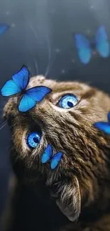 Curious cat with blue butterflies on dark background.