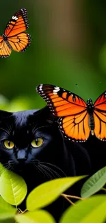 Black cat with vibrant orange butterflies in lush green leaves.