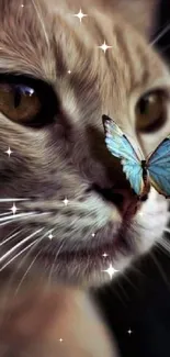 Cat with blue butterfly on nose in artistic wallpaper.