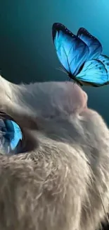 Cat gazing at blue butterfly on wallpaper.