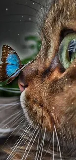 Close-up of cat and butterfly touching nose with vibrant colors.