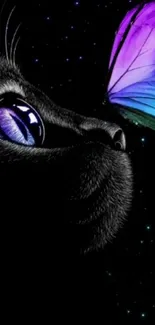 Black cat gazing at vibrant butterfly with starry night backdrop.