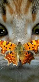 Close-up of cat's eyes with butterfly on nose.