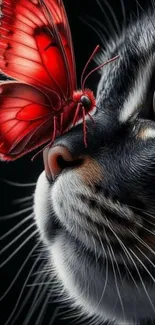 Close-up of a cat with a red butterfly on its nose.