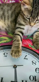 Cat touching clock with floral and 2021 background.