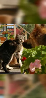 Cat and dog in a garden surrounded by flowers and plants.