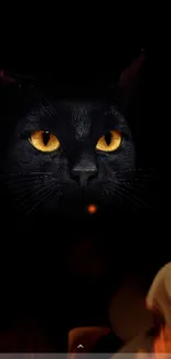 Black cat with fiery background, striking eyes.