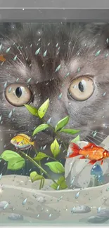 Cat peers at fish in tank mobile wallpaper.