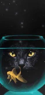 Black cat peering through fishbowl with goldfish against black background.