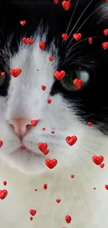 Cute black and white cat with red hearts on mobile wallpaper.