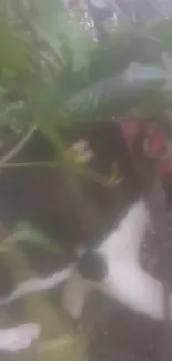 Black and white cat surrounded by green leaves.