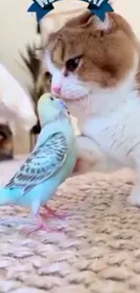 A cat and parakeet interacting on a beige carpet.