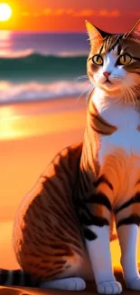 Cat sitting on beach with sunset background, vibrant orange hues.