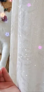 Cat peeking from behind curtain with starry effects.