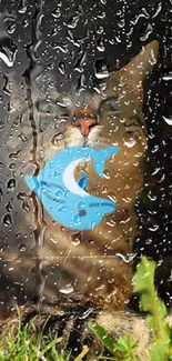 Cat sitting behind a rain-covered glass with a blue squeegee.