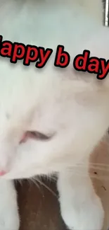 White cat with birthday greeting text.