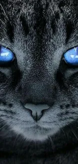 Cat Blue Felidae Live Wallpaper