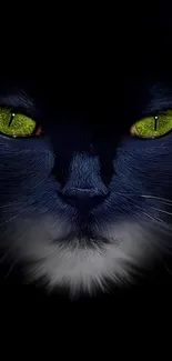 Black cat with green eyes against a dark background.