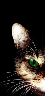 A cat's green eyes glow vividly in the dark background of this mobile wallpaper.