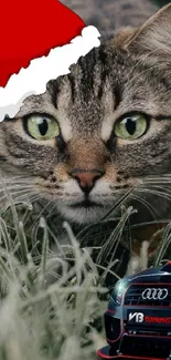 Cat Felidae Carnivore Live Wallpaper