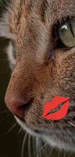 Cat Felidae Carnivore Live Wallpaper