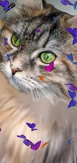 Cat Felidae Carnivore Live Wallpaper