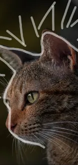 Cat Felidae Carnivore Live Wallpaper