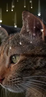 Cat Felidae Carnivore Live Wallpaper